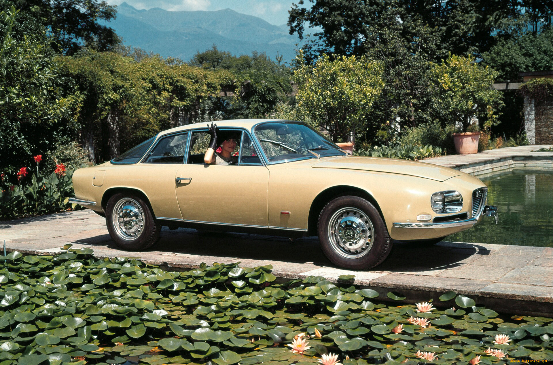 , alfa romeo, alfa-romeo